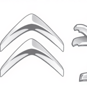 Peugeot Citroen & Renault PSA and CAN-CLIP